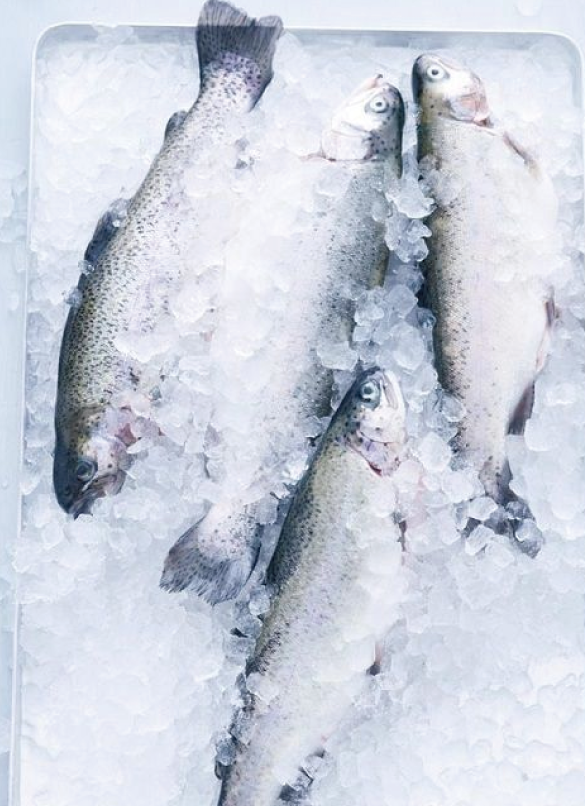 關於盛集屋 About SEISHUYA